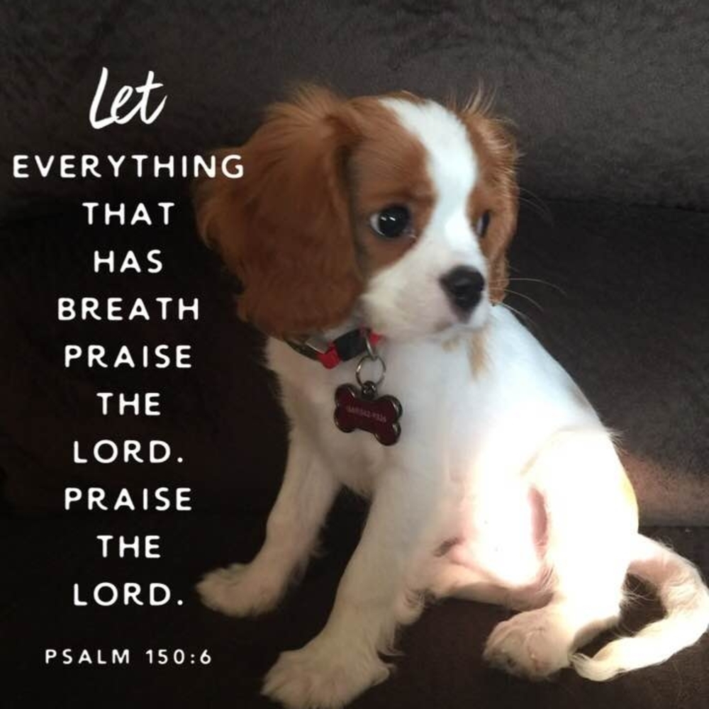 Meet your Posher, Zerep